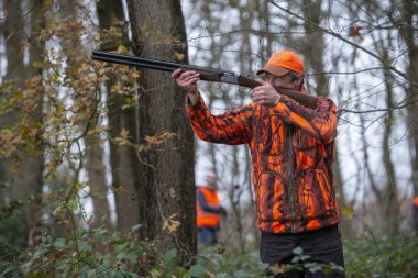 Tavşan avlamak Sülün avlamak