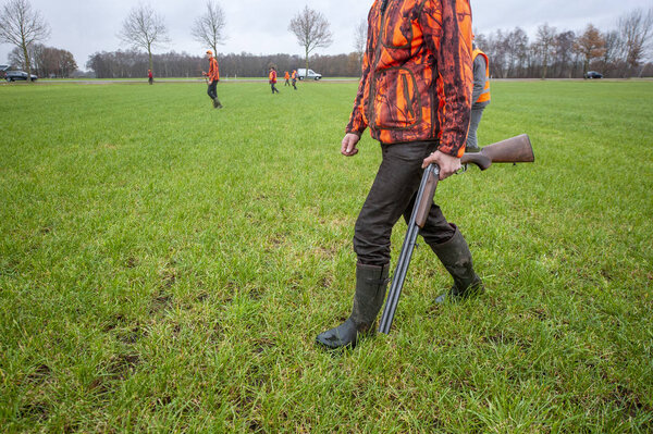 Охота на зайцев и фазентов
