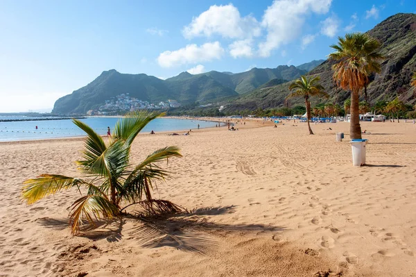 Playa de Las Teresitas Przewodniczący — Zdjęcie stockowe