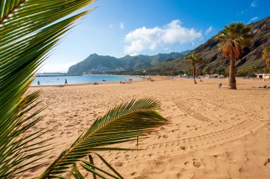 Playa de Las Teresitas