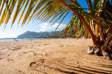 Playa de Las Teresitas
