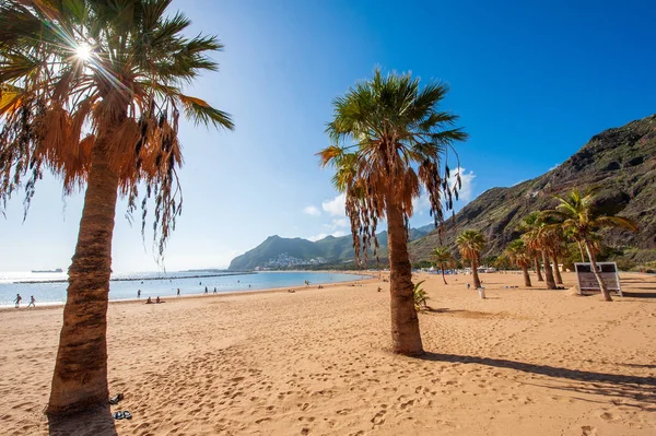 Playa de Las Teresitas Przewodniczący — Zdjęcie stockowe