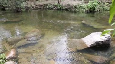 Tayland çalışmasını orman akarsu