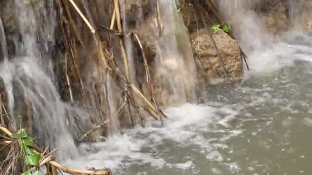 Waterval in de tuin bij park — Stockvideo