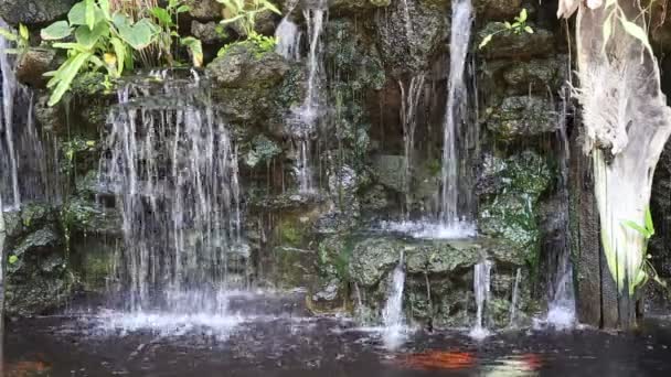 Закрыть водопад в саду — стоковое видео