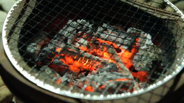 Brand van koken kachel — Stockvideo