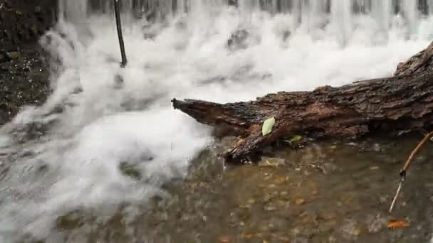 Air terjun di taman — Stok Video