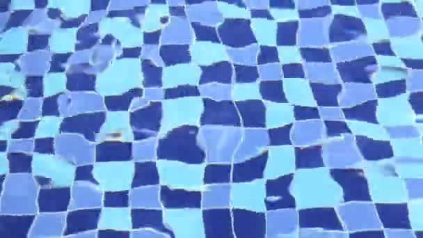 Lom v bazénové vody. — Stock video