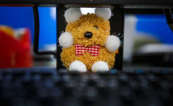 Mainan boneka beruang di atas meja — Stok Foto