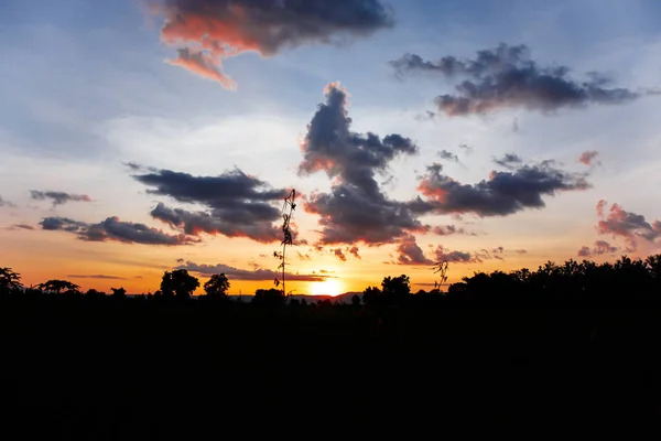 Rýžová pole v večer při západu slunce. — Stock fotografie