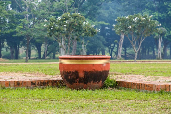 Ponga agua en el jardín de la olla — Foto de Stock