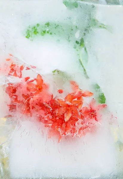Flowers in ice — Stock Photo, Image