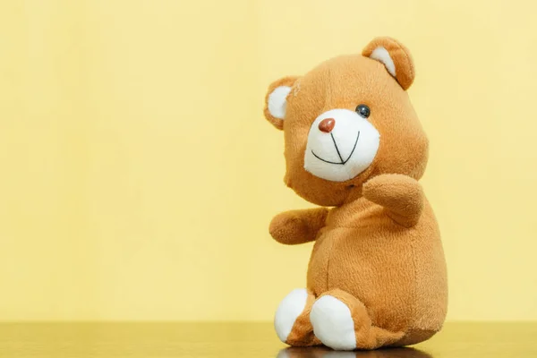 Brown Bear Yellow background — Stock Photo, Image
