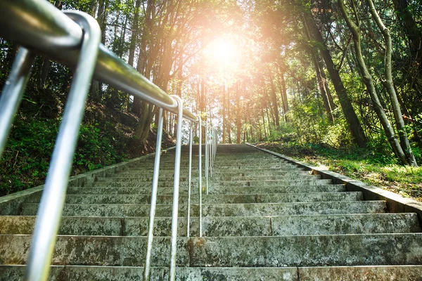 Escadas para cima da colina com árvores no sol da floresta . — Fotografia de Stock