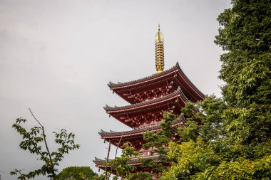  Tamana bölge Kumamoto ili bu tapınakta Japonya'nın en eski yerlerden biri. Kültürel miras uzun bir geleneği ile.