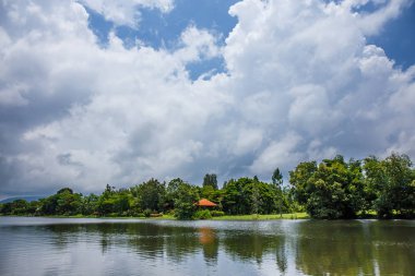 gökyüzü ve beyaz bulutların üstünde parlak bir gün bahçede havuz