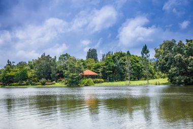 gökyüzü ve beyaz bulutların üstünde parlak bir gün bahçede havuz