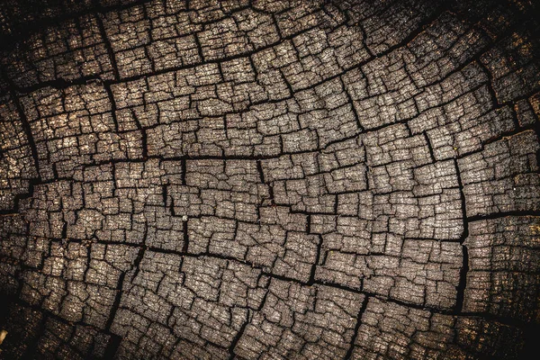 古い木造のパターン表面亀裂の自然. — ストック写真
