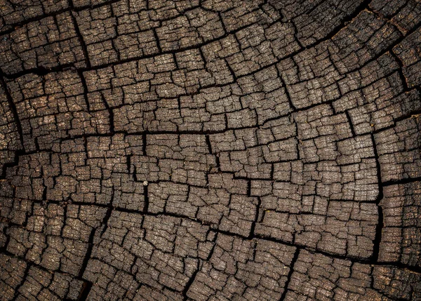 Wzory starych powierzchni drewnianych, które naturalnie crack. — Zdjęcie stockowe