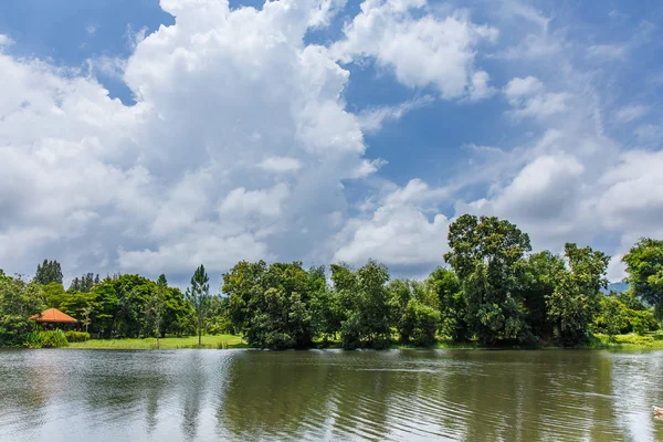 Teich im Garten mit Himmel und weißen Wolken an einem hellen Tag — Stockfoto