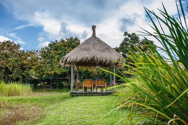 Dak met gras in het park met hemel met witte wolken wonen. — Stockfoto