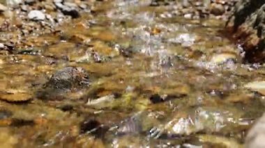 nerede kayaları su akar bahçedeki küçük dere.