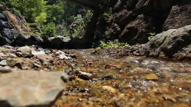 Маленький струмок в саду, де вода тече по скелях . — стокове відео