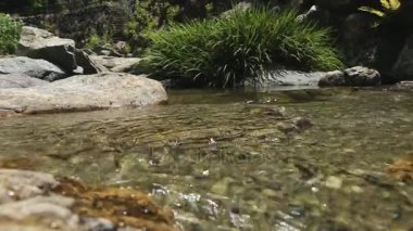 nerede kayaları su akar bahçedeki küçük dere.