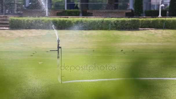 Springer drenken van het gras in de tuin. — Stockvideo