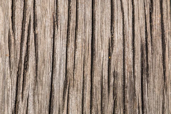 Motif sur la surface du bois — Photo