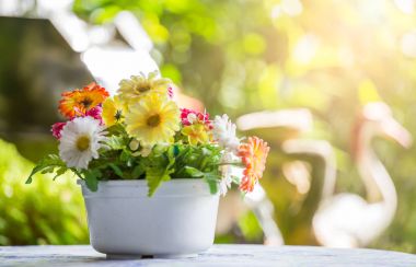 Bir tablo üzerinde beyaz bir tencerede buket