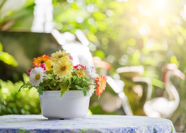 Bouquet in a white pot on a table — Stock Photo, Image