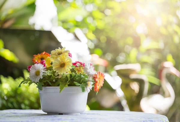 Bouquet in a white pot on a table — Stock Photo, Image