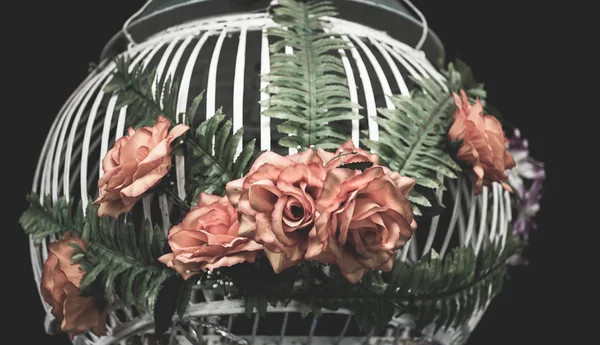 Оранжевые розы на черном фоне . — стоковое фото