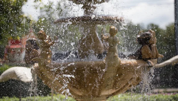 Fountains in the garden — Stock Photo, Image