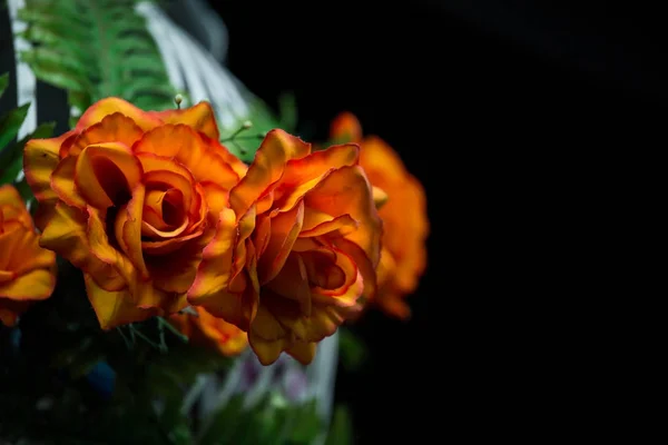 Oranžové růže s černým pozadím. — Stock fotografie