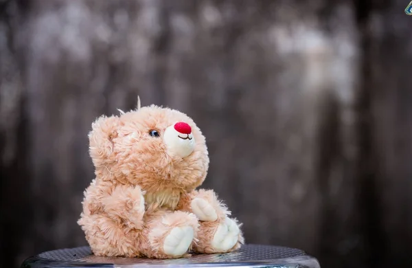 Osito de peluche con fondo gris . — Foto de Stock