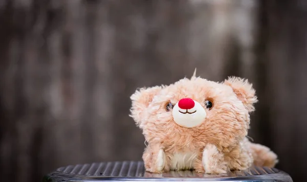 Osito Peluche Con Fondo Gris — Foto de Stock