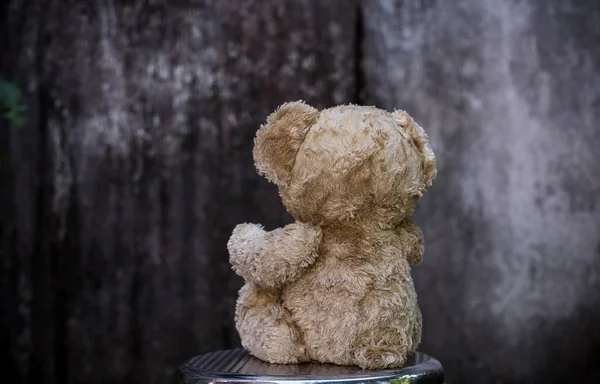 Teddy Bear Gray Background — Stock Photo, Image