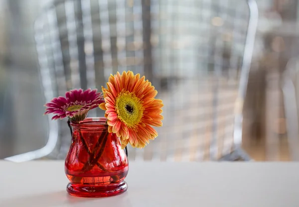 Red chrysanthemum in vase on table. — Stock Photo, Image