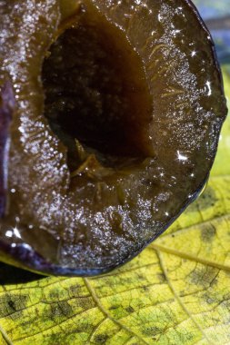 Makro, kesim, mavi, broşür, parlama, su, sertlik, ayrıntı, tasarım