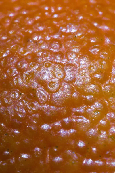 Oranje Macro Detail Peel Glans Schittering Fruit Natuurlijke Textuur Achtergrond — Stockfoto