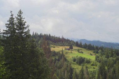 Orman, dağlar, çayır, küçük ev, şirin