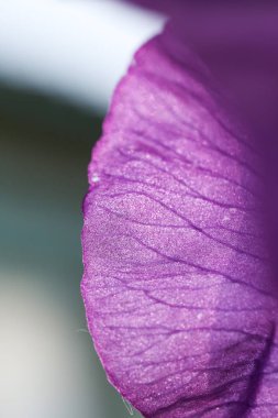 parlak, renkli, renk, kağıt, dokulu, tasarım, soyut, doku, makro 