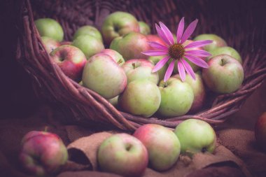 elma, sepet, çiçek açan, kompozisyon, karanlık, lezzetli, gıda