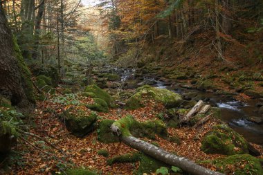Dağlarda sonbahar nehri