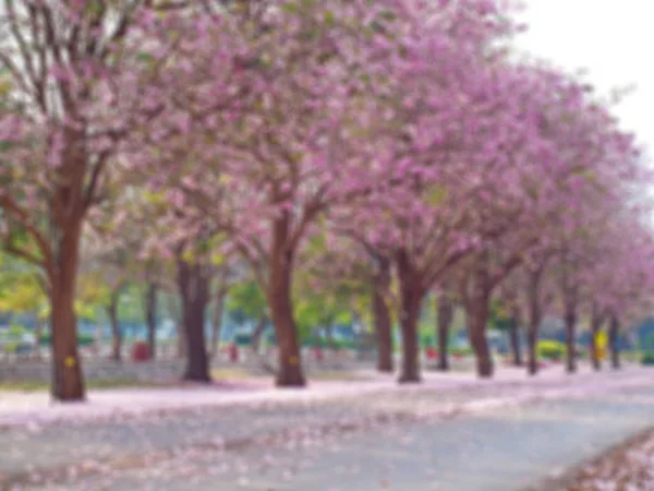 Campo borrado de árvore de trompete rosa — Fotografia de Stock