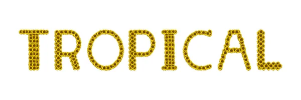 Tropisch — Stockfoto