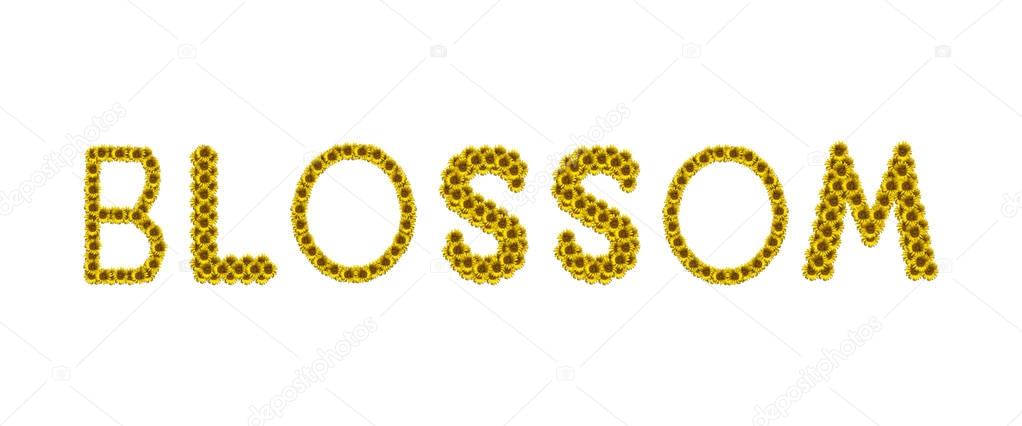 Exsodus