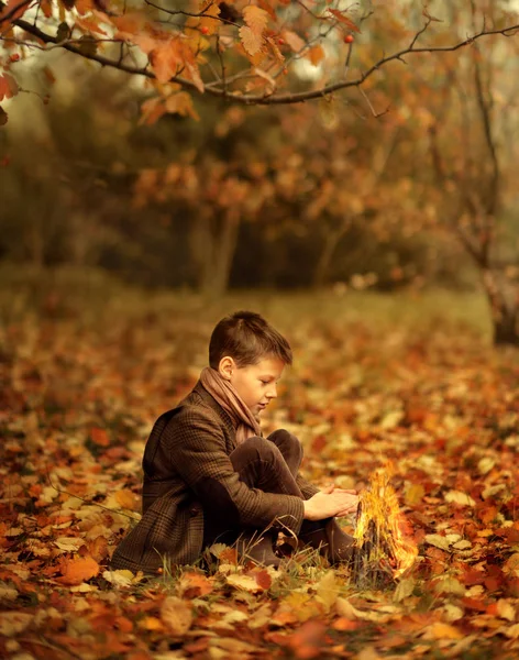 Золотая осень в лесу, и маленький мальчик — стоковое фото